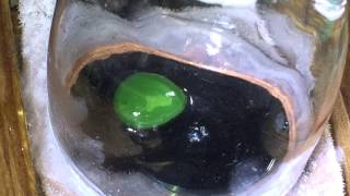 Peltier cloud chamber with Uranium glass [upl. by Olaf]