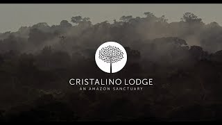 A day at Cristalino Lodge [upl. by Ycak194]