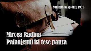 Mircea Radina  Paianjenul isi tese pânza 1  1976 cartiaudiolecturaaudio cartiaudioromana [upl. by Aidnic947]