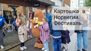 Фестиваль картофеля в Норвегии Все о картошке [upl. by Araiet]