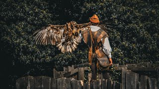 Puy Du Fou amp Cinéscénie Uncut [upl. by Kcirdehs]