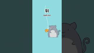 EP35 directions korea flashcards hangul learnkorean languagelearning inkorean cute [upl. by Straus]