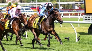 2024 Schweppes Thousand Guineas won by Another Prophet [upl. by Batory]