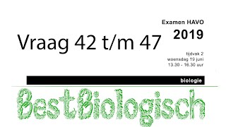 Biologie examen havo 2019 tweede tijdvak vraag 42 tm 47 [upl. by Adlee]