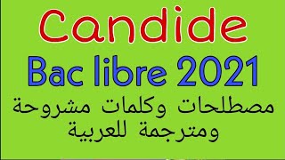 للإستئناس، كلمات مشروحة ومترجمة للعربية من كانديد Candide [upl. by Florenza]