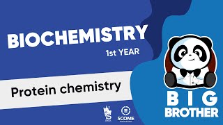 Protein chemistry [upl. by Lechar]