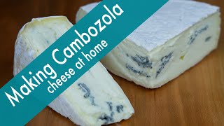 Making Cambozola Cheese at Home  incredibly delicious [upl. by Aurore115]