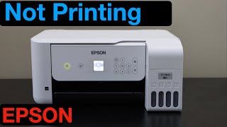 Epson Printer Not Printing [upl. by Annelg]