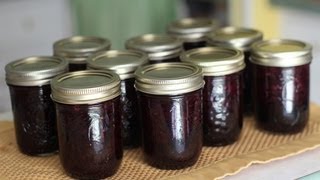 How to Make Blueberry Jam LOW SUGAR RECIPE [upl. by Salvucci]