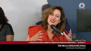 16102024 1000  Comissão de Meio Ambiente e Desenvolvimento Sustentável [upl. by Lebana]