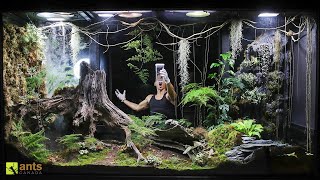 I Released an Apex Predator into My Giant Rainforest Vivarium [upl. by Yasdnil]