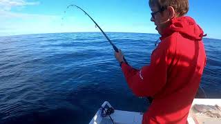 Fishing JURIEN BAY JUNE 2020 [upl. by Eicyal688]