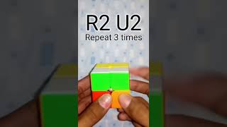 2×2 rubixs cube solving trick plz like [upl. by Nevs734]