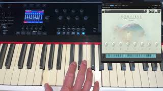 Equuleus Kontakt Instrument  Teaser 2 [upl. by Ettevol399]