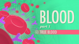 Blood Part 1  True Blood Crash Course Anatomy amp Physiology 29 [upl. by Michella827]