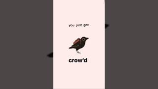 You just got Crow’d animals memes [upl. by Sherar]