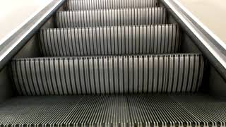 Montgomery Escalator in JCPenney 21519 [upl. by Naved393]