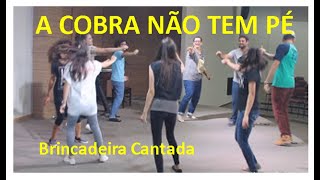 Brincadeira Cantada Diversão com quotA cobra não tem péquot [upl. by Nnylyahs]