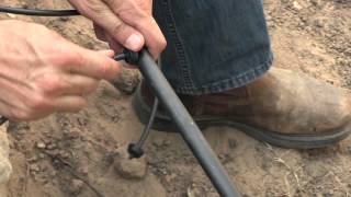 Drip Irrigation Tip  Emitter Placement [upl. by Alban385]