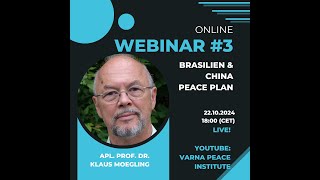 Der chinesischbrasilianische Friedensplan Realistischer Ausweg aus dem Krieg in der Ukraine [upl. by Deina74]