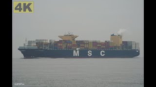 MSC MARGRIT  Shipspotting Germany 🇩🇪 IMO 9465318  River Elbe near City Otterndorf  4K VIDEO [upl. by Brasca]