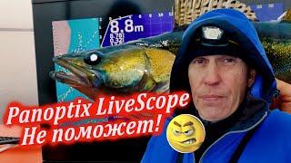 Panoptix LiveScope тут НЕ ПОМОЖЕТ Рыбалка в ноябре 2023 [upl. by Atneciv607]