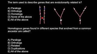 Definition of Paralog Ortholog Homolog [upl. by Vasili]