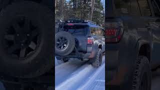 Fresh snow and a 4Runner what else do you need toyota 4runner offroad trail snow colorado [upl. by Lasorella]