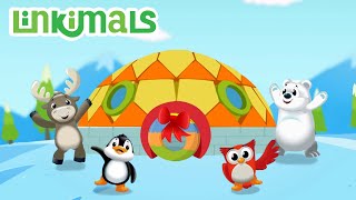 Lets Build an Igloo  Linkimals  Toddler Songs  Kids Cartoon Show  Children Learning [upl. by Nna]