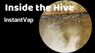 Ep 95 Inside a Beehive Being Vaporized With Oxalic Acid Using An InstantVap [upl. by Clarabelle]