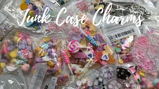 Temu Haul Junk Case Charms [upl. by Bard559]