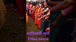 The Spectacular Dance of India’s Adivasi Tribes reel worldtribalday folkdance traditionaldance [upl. by Ttam774]