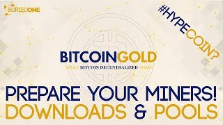 Prepare For Bitcoin Gold Mining Downloads amp Pools [upl. by Dobson]