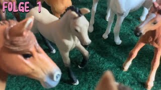 Die Schwimmschule💞 folge 1💖 PFERDEFREI 🐴🐴 schleich [upl. by Quita]