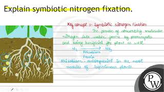 Explain symbiotic nitrogen fixation [upl. by Melitta]