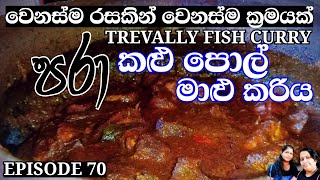 Trevally Fish Curry Recipe Sri LankaFood Fun VillagePaarri Fishපරා මාළු කළු පොල් කරියFish Curry [upl. by Ehsom]