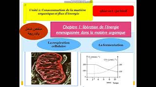 PC SVT CONSOMMATION DA LA MATIERE ET LE FLUX D ENERGIE [upl. by Powe]