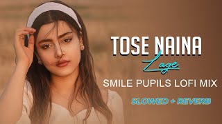 Tose Naina Lage  slowed  Reverb  New Hindi Romantic Sad Song 2024 [upl. by Tayyebeb984]