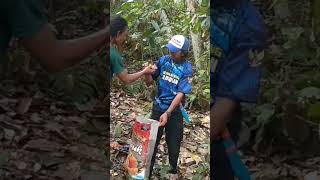 Jual ikan gosong 1 karung hasil mancing mancing mahseer mahseerfish [upl. by Amann]