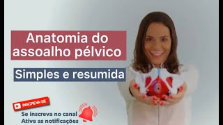 Anatomia do Assoalho pélvico [upl. by Ttesil]