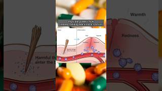 Medicines Used for Pain 🤧 Inflammation Fever  NSAIDS nsaids painkiller pharmacy pharmcraze [upl. by Schecter]