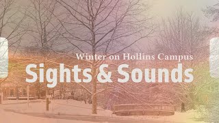 Sights amp Sounds  Winter on Hollins Campus 2024 [upl. by Micaela]