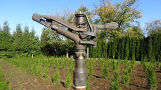 Rain Bird 65D Impact Sprinkler [upl. by Turley946]