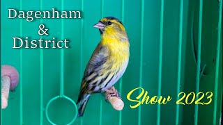 Dagenham amp District Cage Bird Show 2023 [upl. by Chemar757]