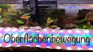 Oberflächenbewegung im Aquarium aquaristik [upl. by Dranreb627]