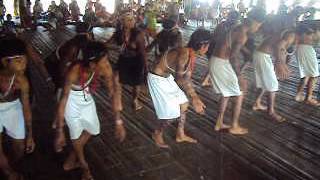 Danza Wounaan de San juan [upl. by Ellives]