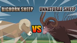 Unnatural Sheep vs Bighorn Sheep  Unnatural Habitat Animals Animation [upl. by Shaffert]