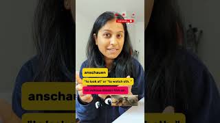 GERMAN Verbs  Part 3🇩🇪🤯 schauen vs anschauen shorts indian india hindi germanlanguage [upl. by Annia]