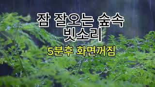 잠 잘오는 숲속 빗소리 5분후 화면꺼짐 the sound of rain [upl. by Philips]