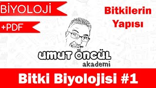 Biyoloji  AYT  Bitki Biyolojisi 1  PDF [upl. by Dudden]